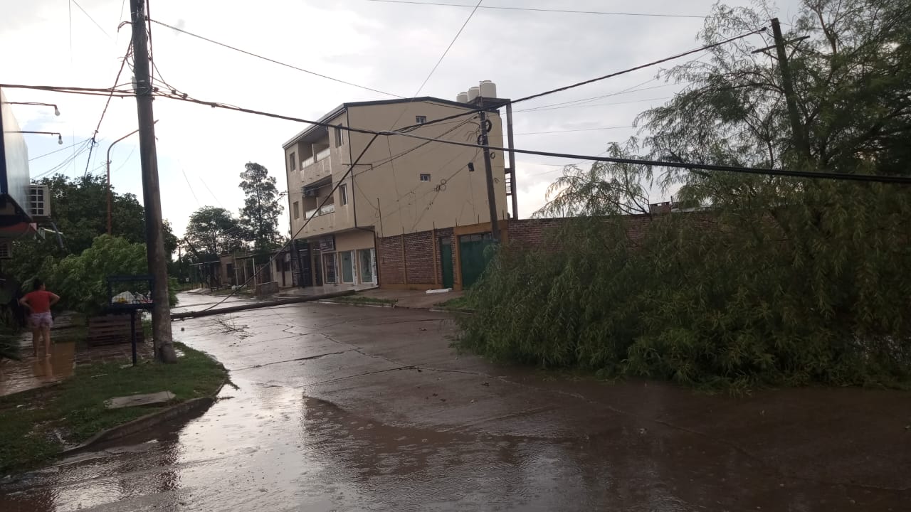 En Puerto Tirol la tormenta provoc voladuras de techos y ca das