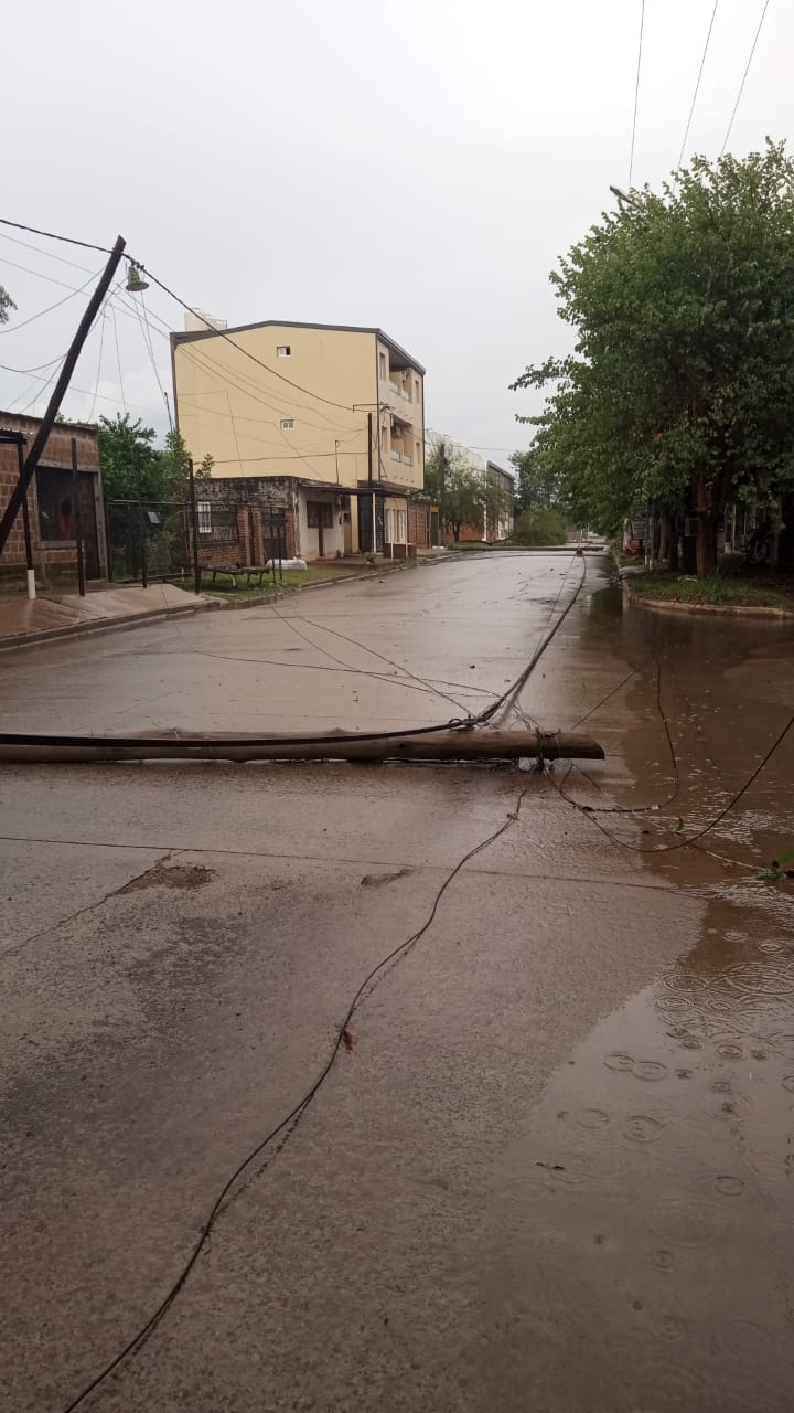 En Puerto Tirol la tormenta provoc voladuras de techos y ca das