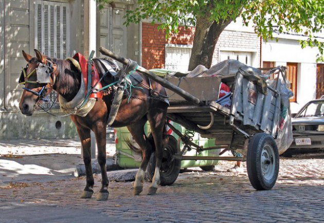 Sin soluci n crece el n mero de carros en Resistencia