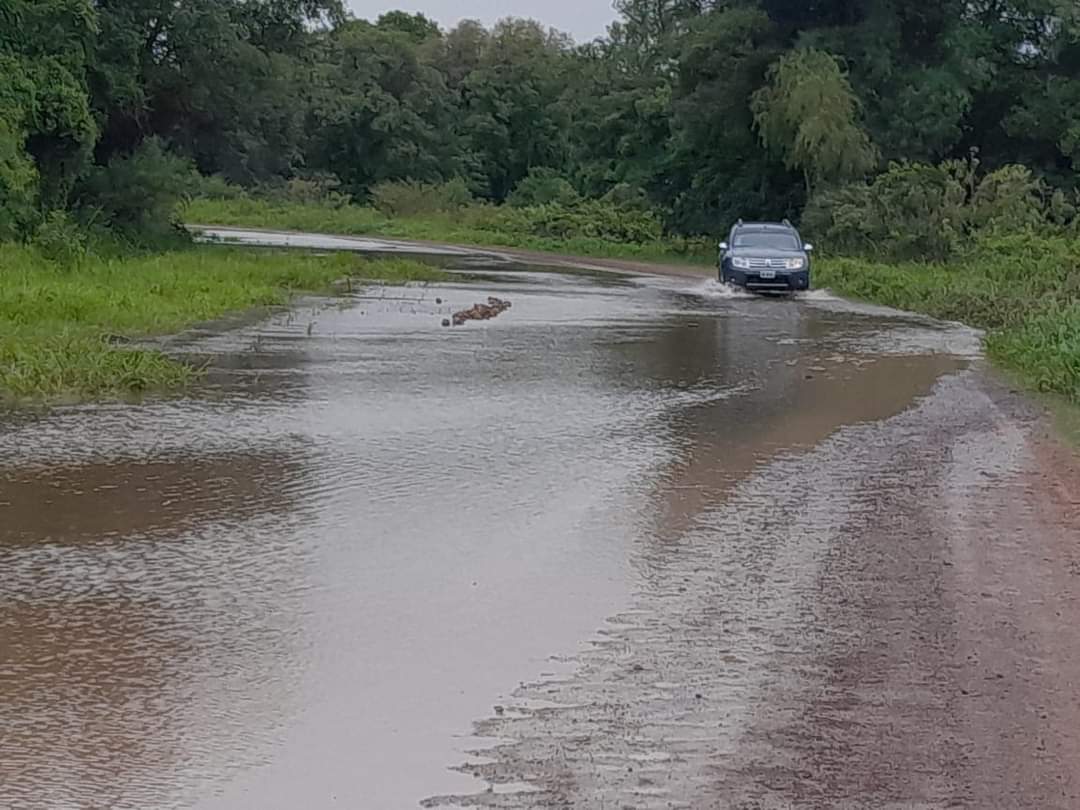 Por la crecida del Paran comenzaron los cortes en la zona